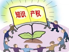 如果通过Innography专利数据库查询专利信息？