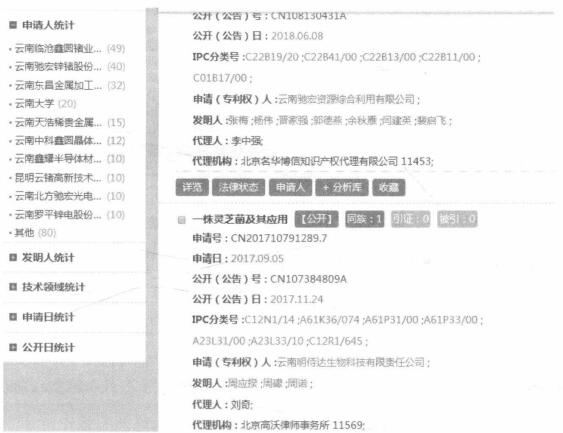 国家知识产权局专利检索及分析系统怎么使用？