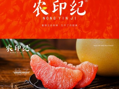 农印纪图2